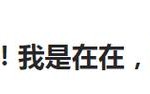 兴业鼎泰一年定开债券发起式最新净值涨幅