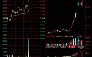 涪陵榨菜主力资金净买入分析行业前景与投资策略