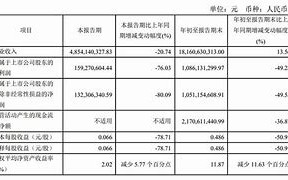 瑞芯微增收不增利，净利润腰斩，公司拟押注算力改善业绩