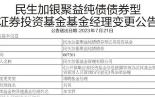 国泰丰盈纯债债券基金分红解析稳健投资策略下的收益分配