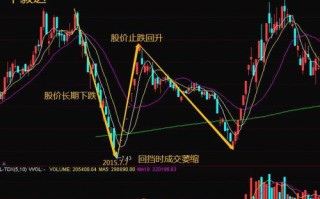 赌博论 被打脸 成交556元,吓跑4.6万股东