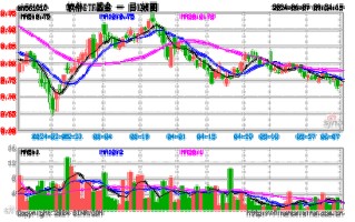 中科创达股价飙升，嘉实中证软件服务基金重仓持有背后的逻辑与影响