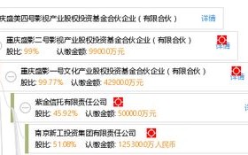 九泰基金深度调研中国电影与华润微的产业融合与未来展望