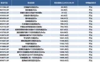 抄作业的艺术基金经理如何利用基金频道和讯网优化投资策略