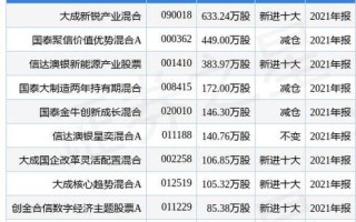 泰康新锐成长混合基金重仓月日伊戈尔，股价飙升背后的投资逻辑