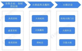 清洁电器产业全球化加速头部企业海外市场占有率展望