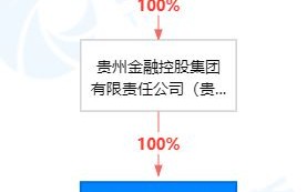 茅台基金的经营异常问题及建议