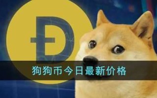 狗狗币的奇幻一日