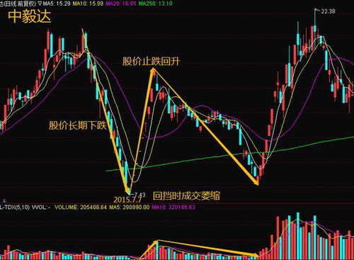 赌博论 被打脸 成交556元,吓跑4.6万股东-第1张图片-链上币闻