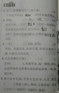 数学老师一针见血 翻烂数学书也不过这份知识,吃透小学直接毕业