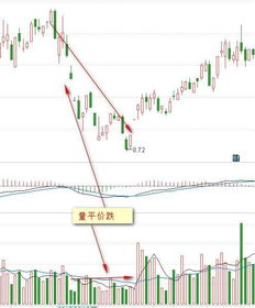 1月22日农发种业股票市盈率是多少-第1张图片-链上币闻