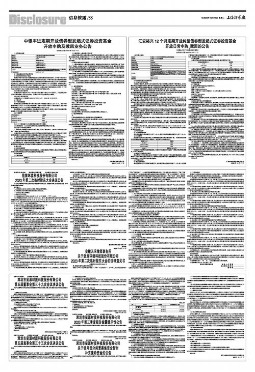 汇安裕兴12个月定开纯债债券基金稳健投资的明智之选-第1张图片-链上币闻