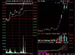 涪陵榨菜主力资金净买入分析行业前景与投资策略-第1张图片-链上币闻