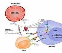 新集能源（股票代码XXXXXX）-第1张图片-链上币闻