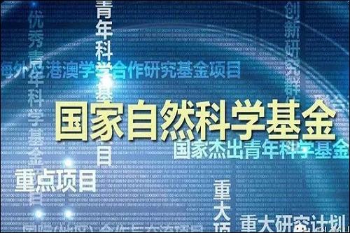 中加优悦一年定开债券基金分红解析投资者的收益与市场策略-第1张图片-链上币闻