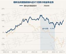 中加丰泽纯债债券最新净值涨幅解读-第1张图片-链上币闻